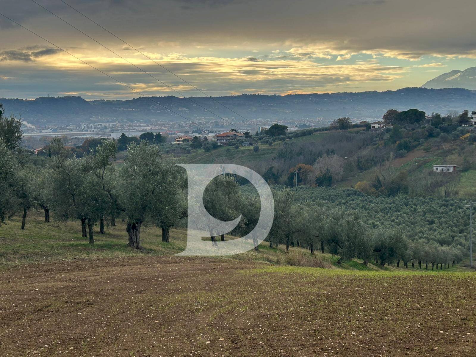 Foto 1 - Terreno agricolo via Quagliera, Spoltore - foto 1