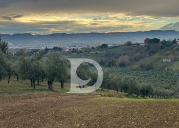 Foto 1 - Terreno agricolo via Quagliera, Spoltore - foto 1