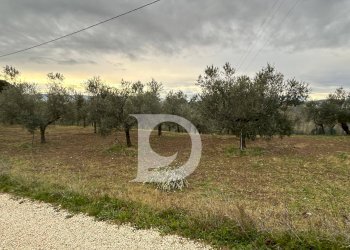 Foto 3 - Terreno agricolo via Quagliera, Spoltore - foto 3