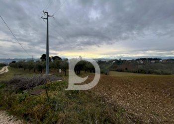 Foto 5 - Terreno agricolo via Quagliera, Spoltore - foto 5
