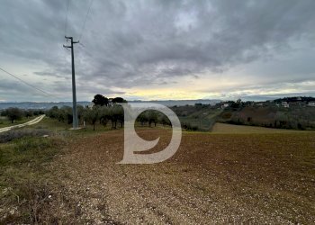 Foto 6 - Terreno agricolo via Quagliera, Spoltore - foto 6