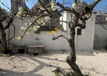 Foto 30 - Baita STRADA COMUNALE 198-4 C. da Pellegrini, Locorotondo - photo 30