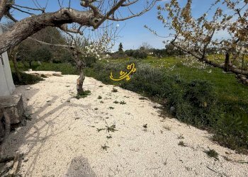 Foto 35 - Baita STRADA COMUNALE 198-4 C. da Pellegrini, Locorotondo - photo 35