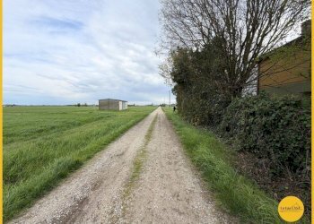 Foto 19 - Casa indipendente Via Fiume vecchio
 
231, Molinella - foto 19