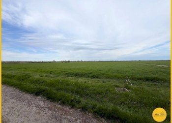 Foto 20 - Casa indipendente Via Fiume vecchio
 
231, Molinella - foto 20