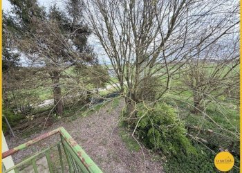 Foto 75 - Casa indipendente Via Fiume vecchio
 
231, Molinella - foto 75