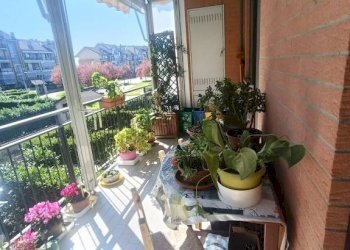 Terrazzo - Appartamento vicolo Sacra San Michele, 6, Orbassano - foto 11