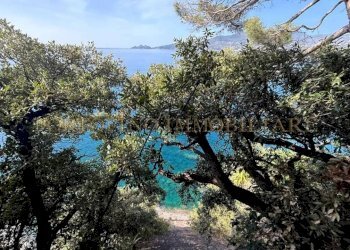 Vista - Villa piazza del Sole, Santa Margherita Ligure - foto 36