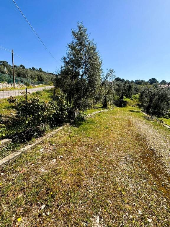 Terreno - Terreno agricolo contrada Valle Fredda, Itri - foto 2