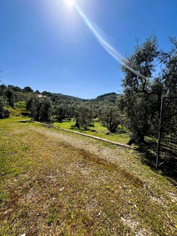 Terreno - Terreno agricolo contrada Valle Fredda, Itri - foto 3