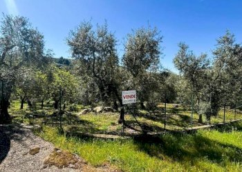 Terreno - Terreno agricolo contrada Valle Fredda, Itri - foto 1