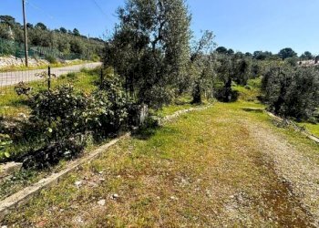 Terreno - Terreno agricolo contrada Valle Fredda, Itri - foto 2