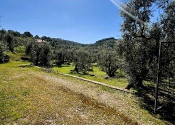 Terreno - Terreno agricolo contrada Valle Fredda, Itri - foto 3