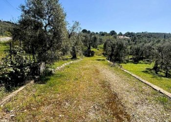 Terreno - Terreno agricolo contrada Valle Fredda, Itri - foto 4