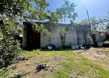 Terreno - Terreno agricolo contrada Valle Fredda, Itri - foto 7