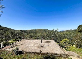 Terreno - Terreno agricolo contrada Valle Fredda, Itri - foto 9