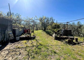Terreno - Terreno agricolo contrada Valle Fredda, Itri - foto 10