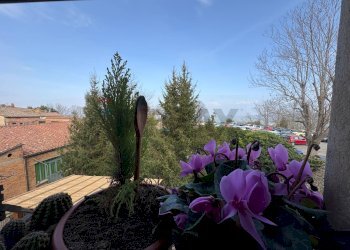 Balcone - Appartamento Volterra - foto 7