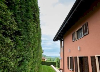 Giardino - Villa via Viapiana, Montegrosso d'Asti - foto 32