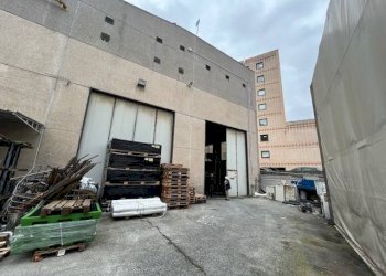 Magazzino - Capannone via Egidio Tagliolini, Genova (zona Cornigliano) - foto 12