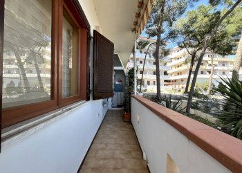 Foto 7 - Trilocale Via San Martino
 
53, Stalettì - foto 7