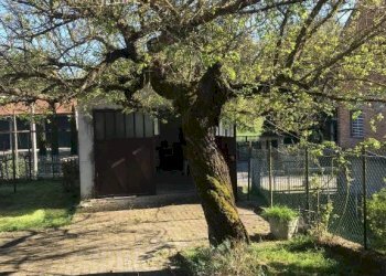 Terreno - Rustico Regione Valdivaglio, Incisa Scapaccino - foto 4