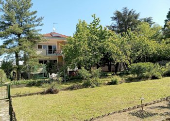 giardino - Villa Bifamiliare via Fornace, 56, Alpignano - foto 3