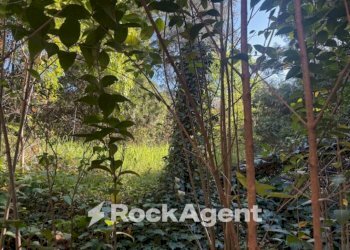 Terreno - Villa via Claudia, Maranello - photo 21