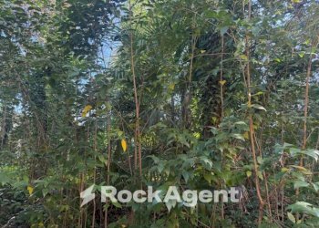 Terreno - Villa via Claudia, Maranello - photo 23