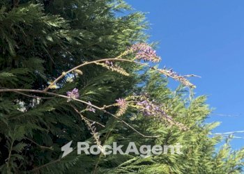 Terreno - Villa via Claudia, Maranello - photo 26