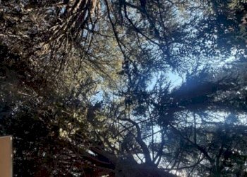 Terreno - Villa via Claudia, Maranello - photo 27