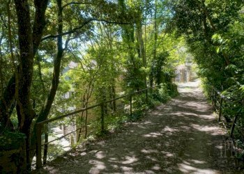 Giardino - Villa strada Provinciale Umbro Cortonese, Cortona - foto 9