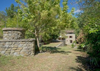 Terreno - Villa strada Provinciale Umbro Cortonese, Cortona - foto 10