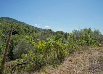 Terreno - Villa strada Provinciale Umbro Cortonese, Cortona - foto 12