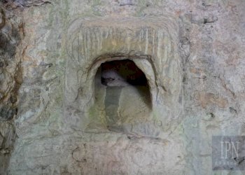 Cantina - Villa strada Provinciale Umbro Cortonese, Cortona - foto 15