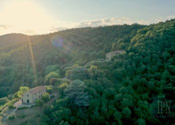 Vista - Villa strada Provinciale di Lisciano Niccone, Lisciano Niccone - foto 7