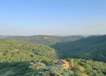 Vista - Villa strada Provinciale di Lisciano Niccone, Lisciano Niccone - foto 8