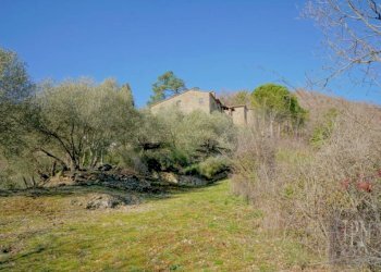 Terreno - Villa strada Provinciale di Lisciano Niccone, Lisciano Niccone - foto 31