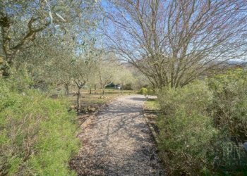 Terreno - Villa strada Provinciale di Lisciano Niccone, Lisciano Niccone - foto 32