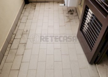 20260413_161748.jpg - Terratetto - Terracielo Via G. di Vittorio, Santa Croce sull'Arno - foto 13