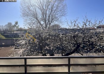 Foto 27-03-26, 16 04 08.jpg - Bilocale Via Adria 4/f, Desio - foto 10