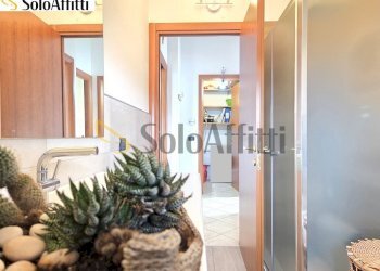 bagno con dippio box doccia - Trilocale Via Eugenio Montale 12, Limbiate - foto 18