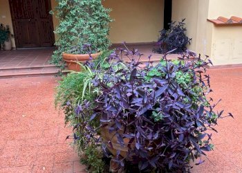 WhatsApp Image 2023-11-27 at 15.09.16(8).jpeg - Quadrilocale Via del Motrone, Firenze - foto 22