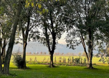 IMG-20251031-WA0011.jpg - Rustico Via Bagnolo 12, Longare - foto 18