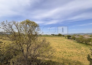 IMG_2685.JPG - Appartamento Via A. Pigafetta 20, Montegaldella - foto 7