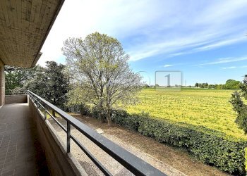 terrazzo - Appartamento Via A. Pigafetta 20, Montegaldella - foto 11