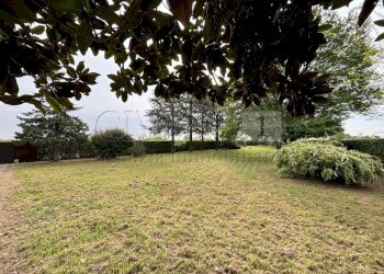 giardino - Appartamento Via A. Pigafetta 20, Montegaldella - foto 17