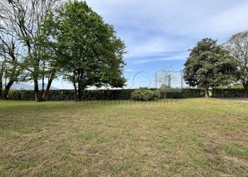 IMG_2650.JPG - Appartamento Via A. Pigafetta 20, Montegaldella - foto 20