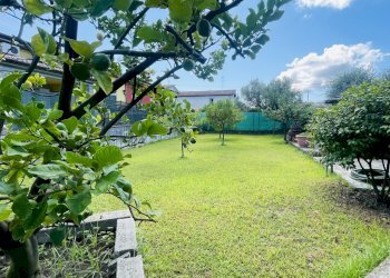 IMG_6978.jpg - Terreno edificabile Arcola - foto 7