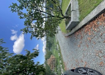 IMG_6976.jpg - Terreno edificabile Arcola - foto 12